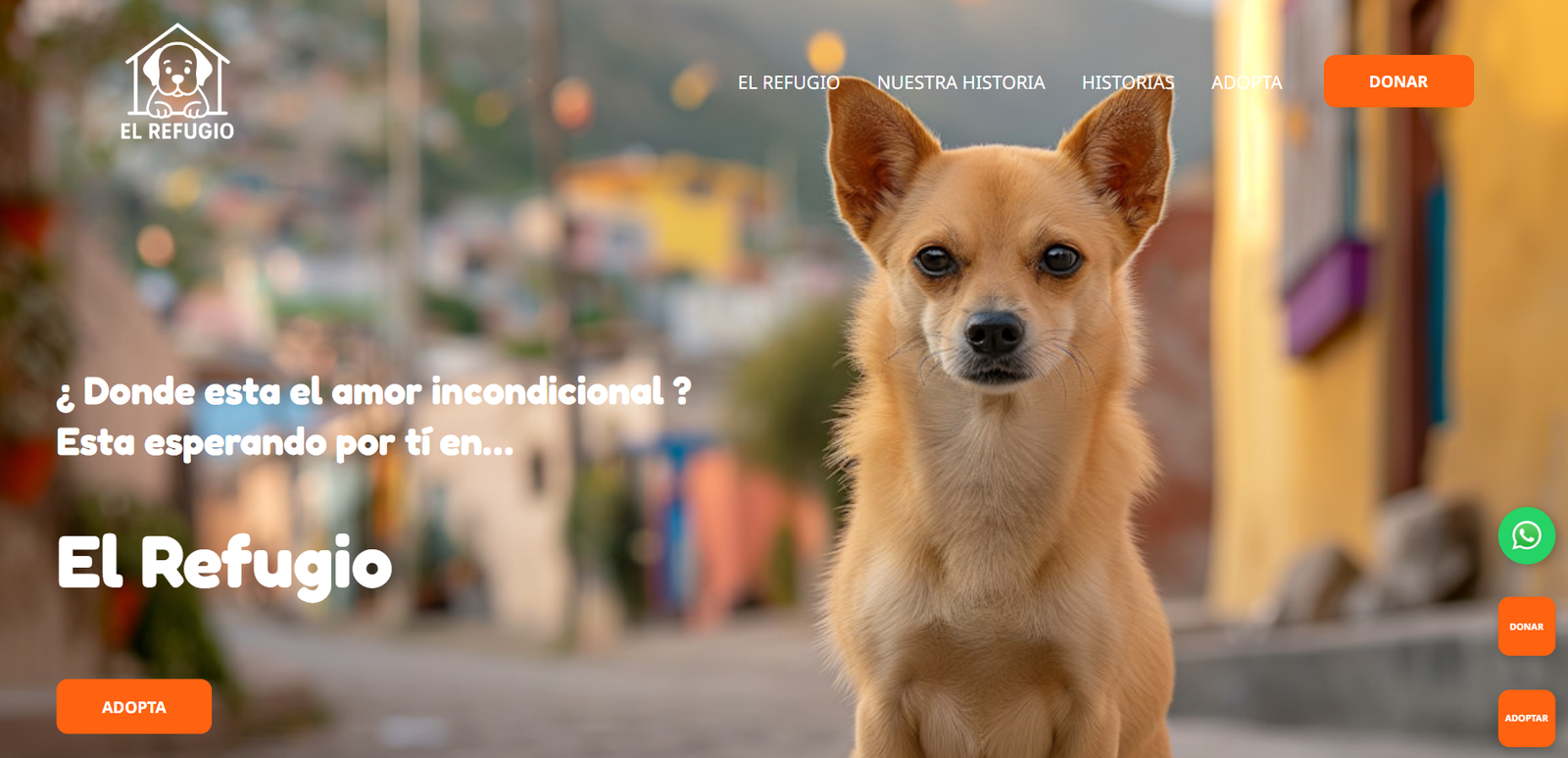 portfolio : el refugio