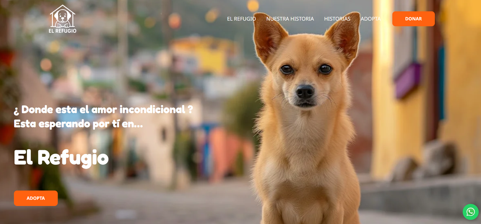 portfolio : el refugio