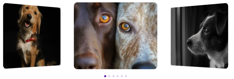 portfolio : milano constructores